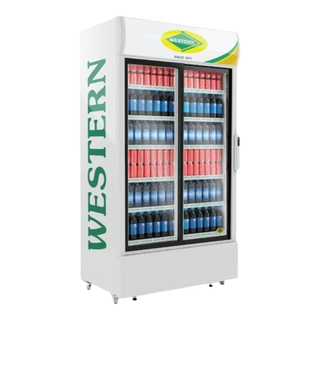 Double Door Visi Cooler